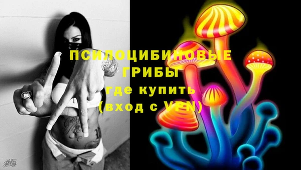 сатива Каменка