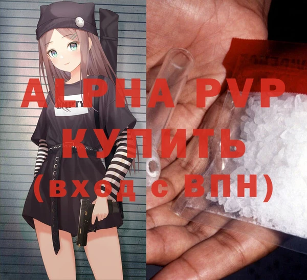спиды Каменногорск