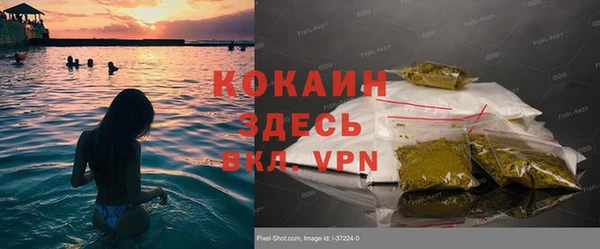 спиды Каменногорск