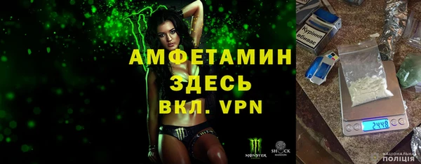 сатива Каменка