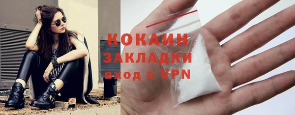 спиды Каменногорск