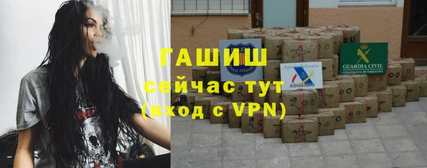 сатива Каменка
