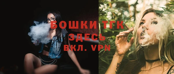 спиды Каменногорск
