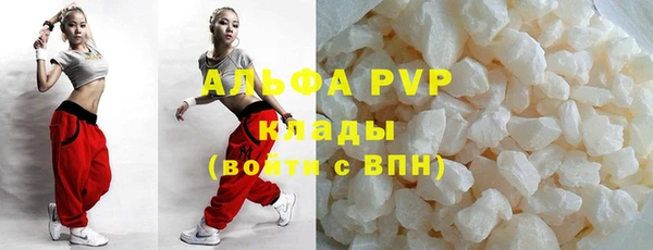 сатива Каменка