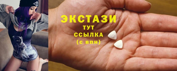 сатива Каменка