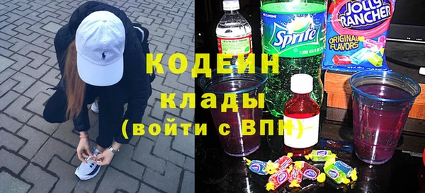 сатива Каменка