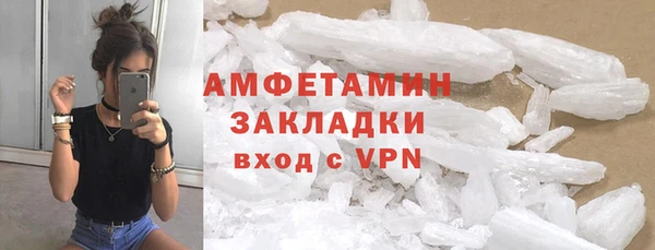 сатива Каменка