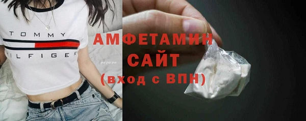 сатива Каменка