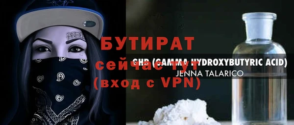 сатива Каменка