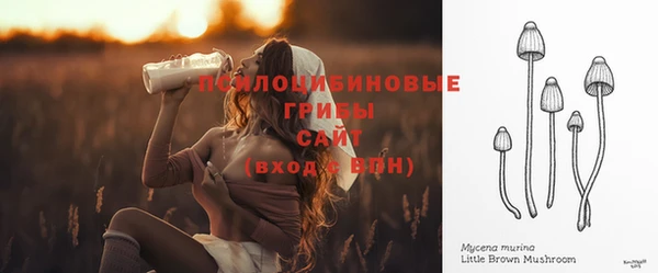 сатива Каменка