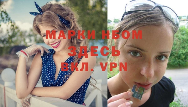 спиды Каменногорск