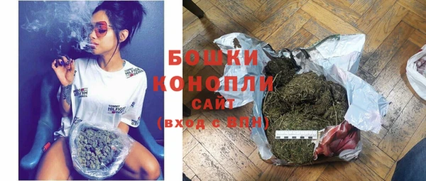 сатива Каменка