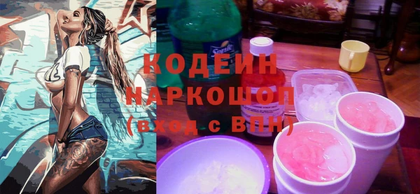 сатива Каменка