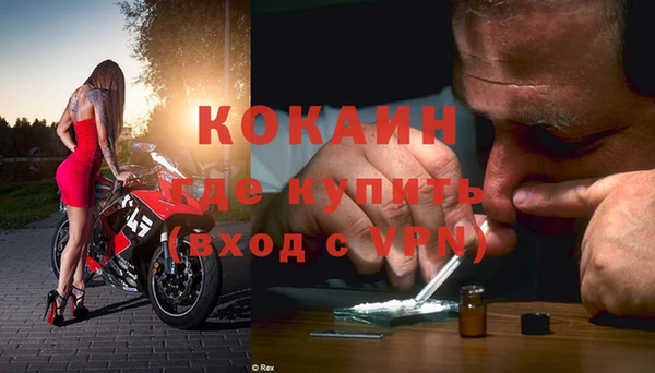 спиды Каменногорск