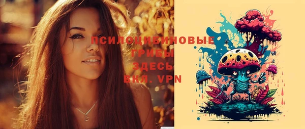 сатива Каменка