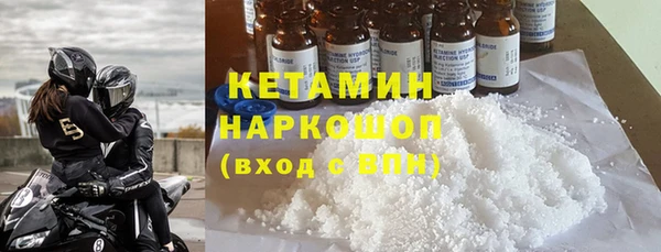 сатива Каменка