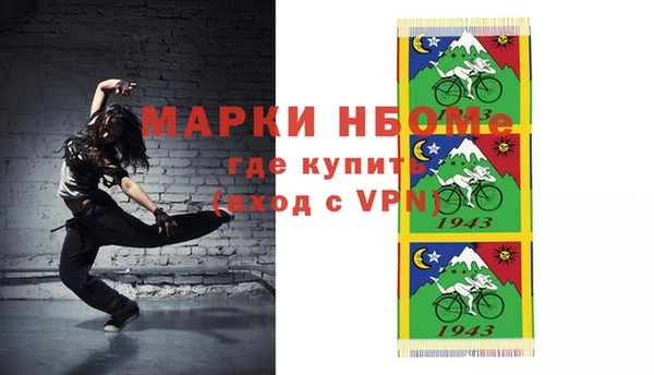 сатива Каменка