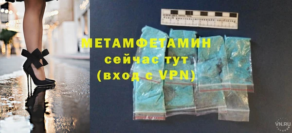 сатива Каменка